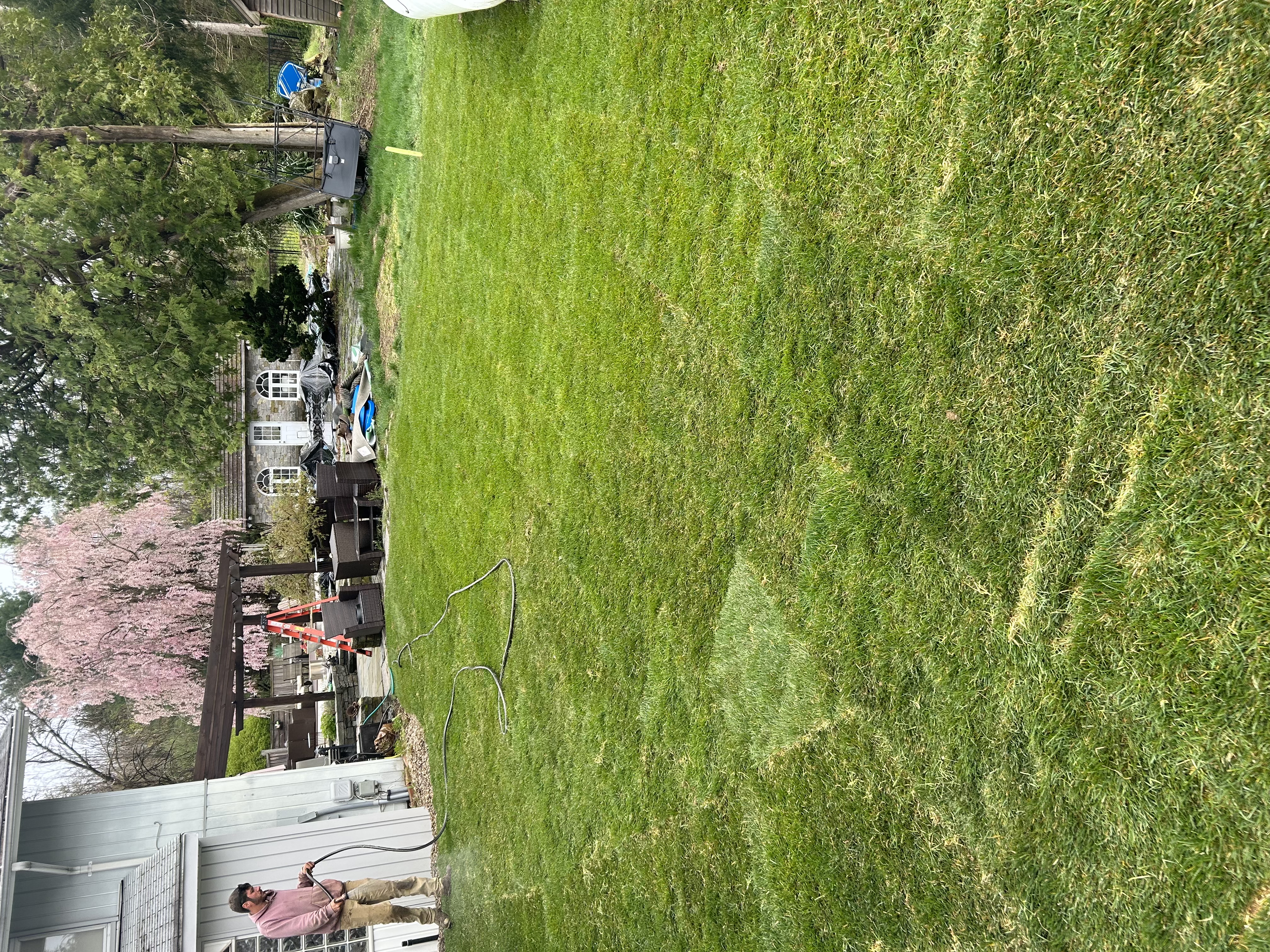 Lush green lawn