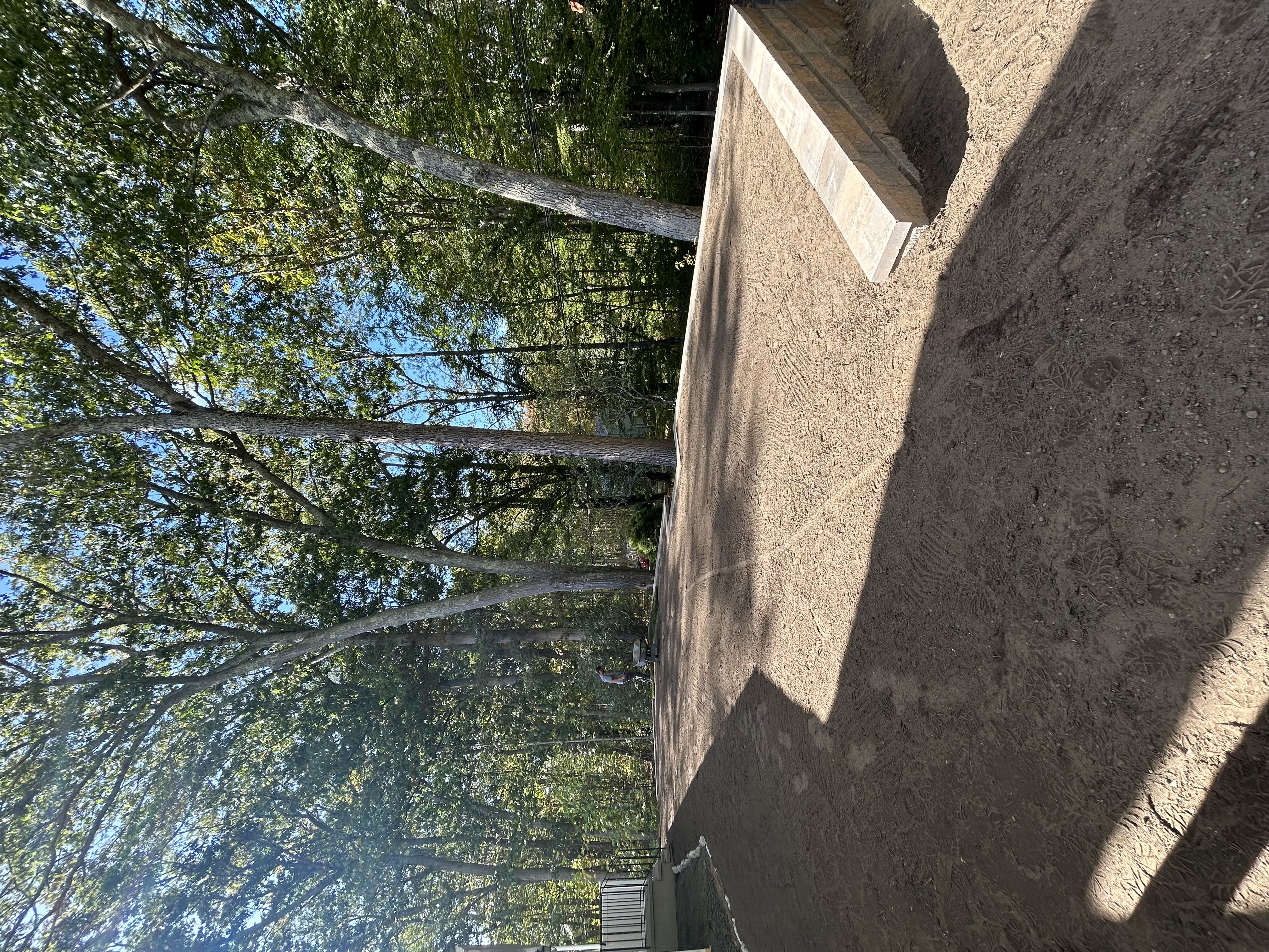 Completed lawn