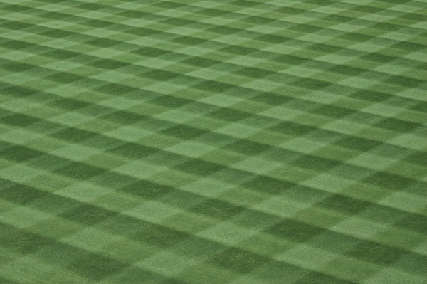 Additional Sod Varieties